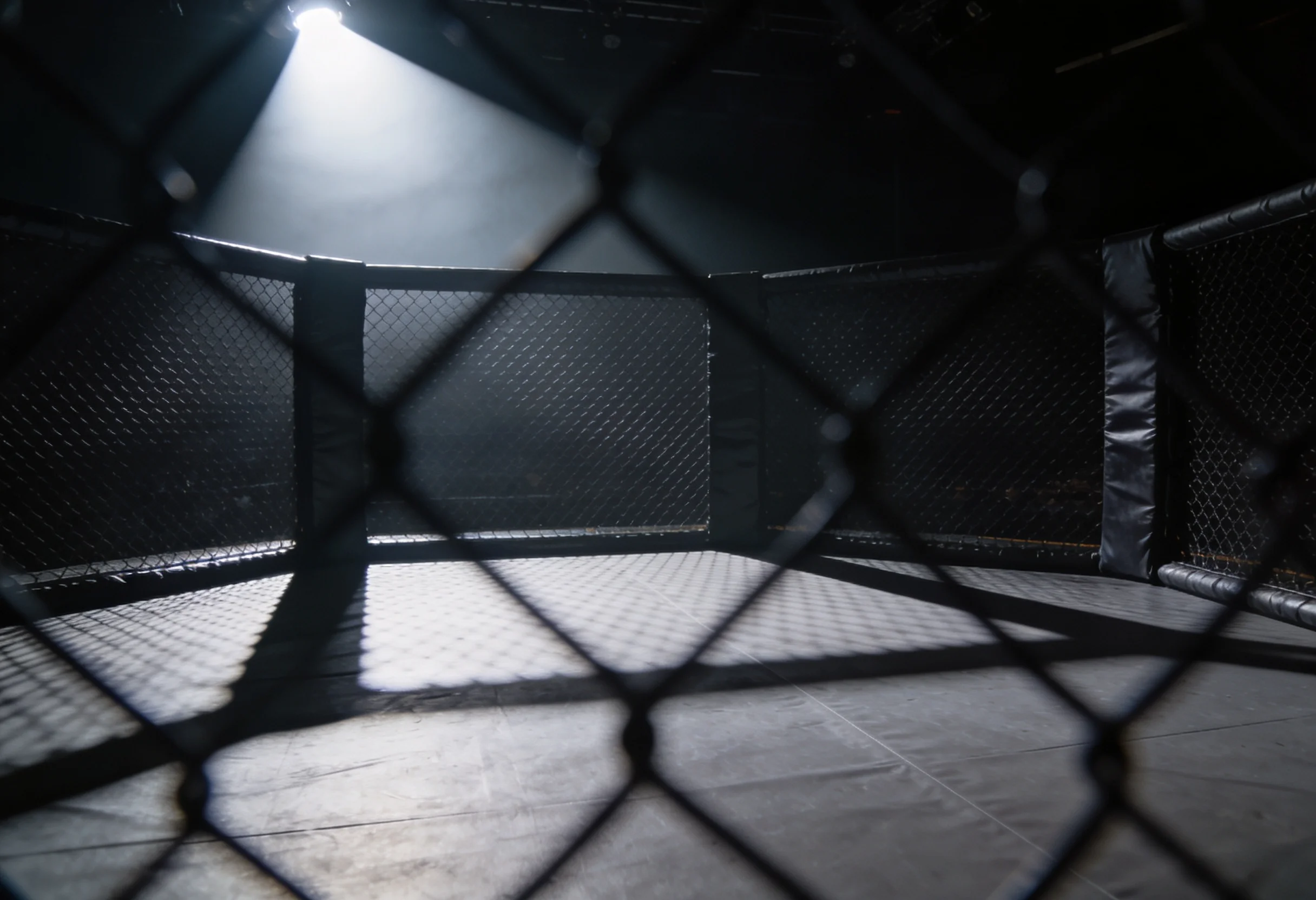 Empty UFC octagon under spotlight in a darkened arena before a fight card begins