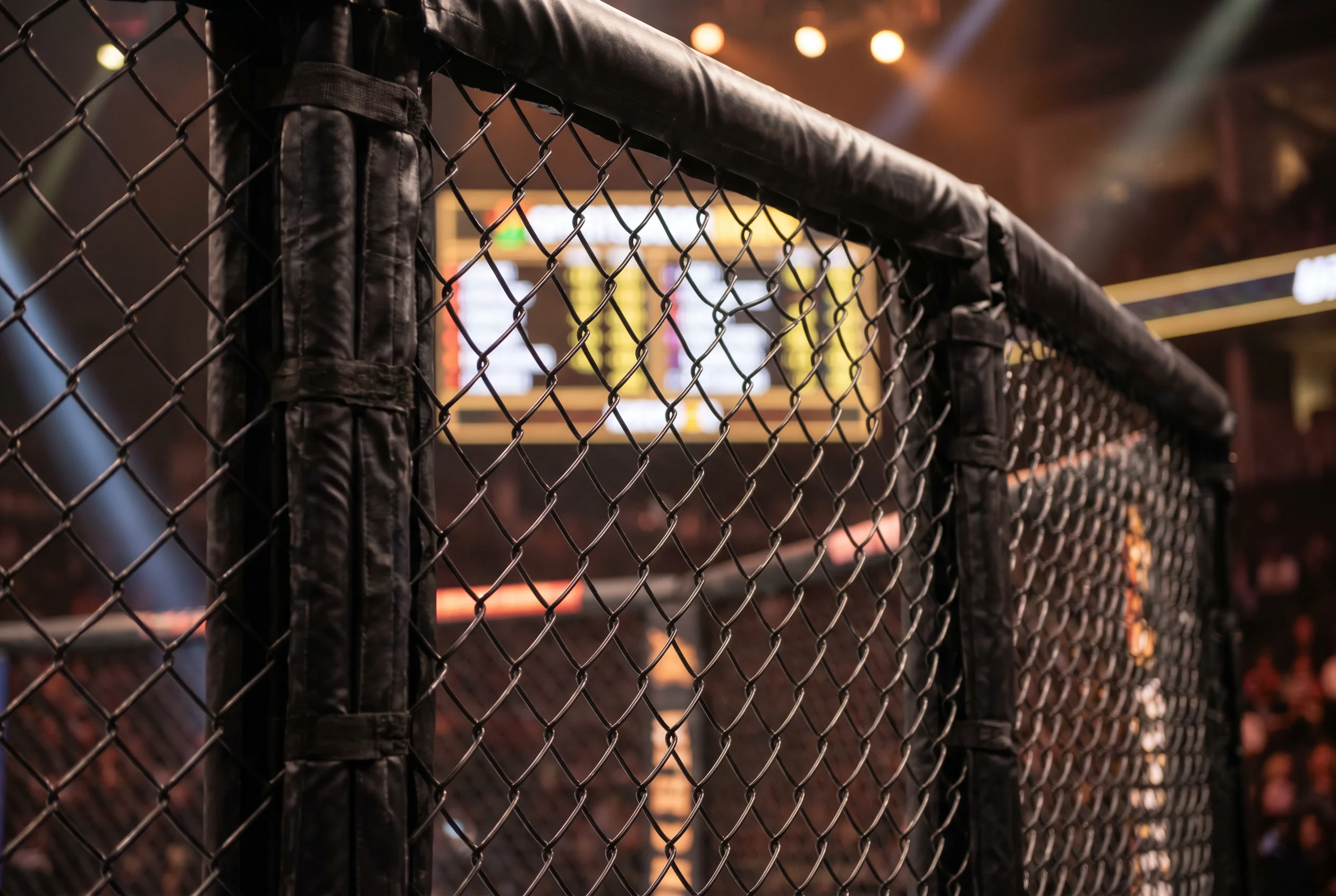 Close-up of a UFC octagon cage with a sportsbook odds board glowing in the background
